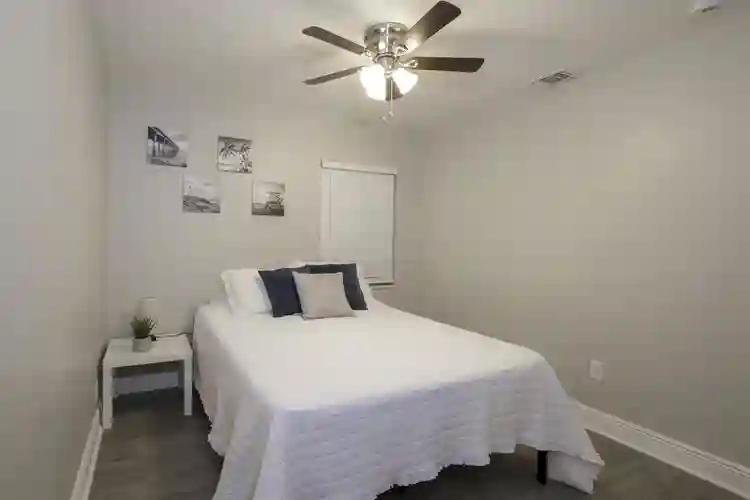 7 BR in Tampa