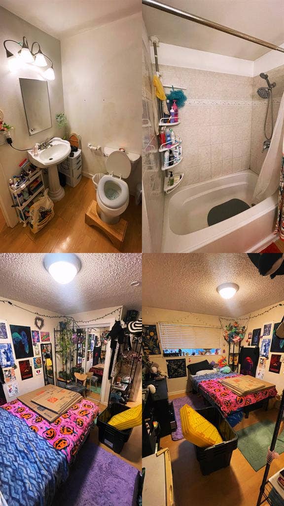 Open room in Greenwood - December 1