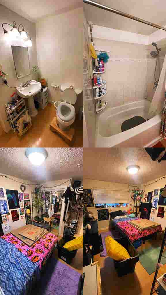 Open room in Greenwood - December 1