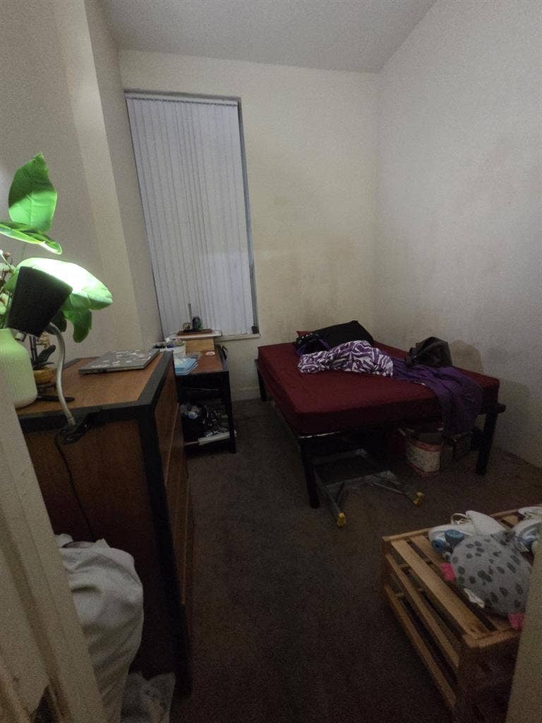 AMAZING priced room!!