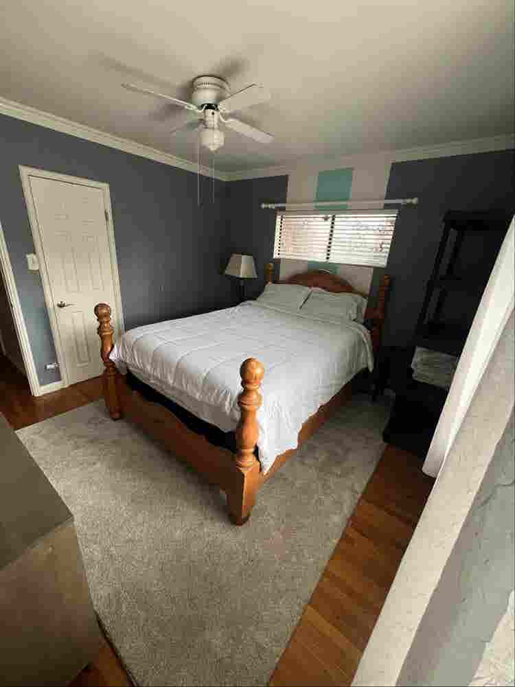 Roommate needed for house with pool