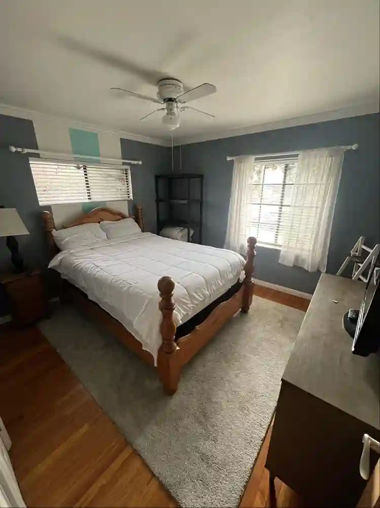 Roommate needed for house with pool