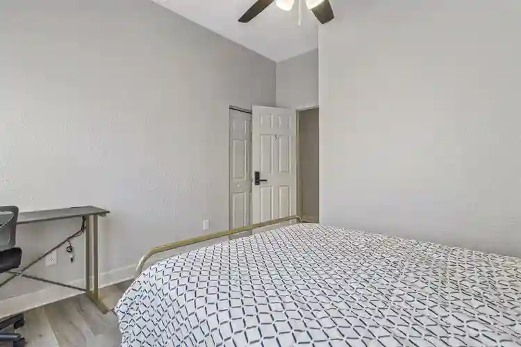 8 BR in Tampa