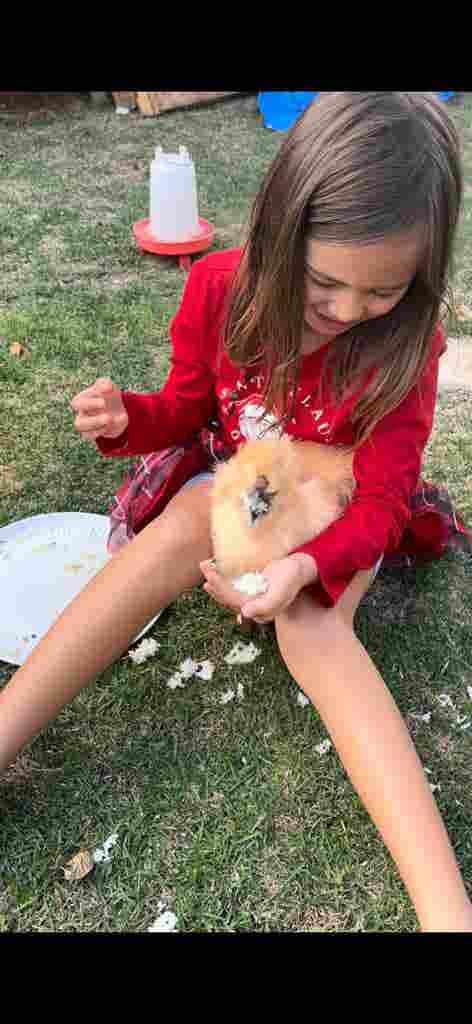 Room to rent partial trade (nanny)