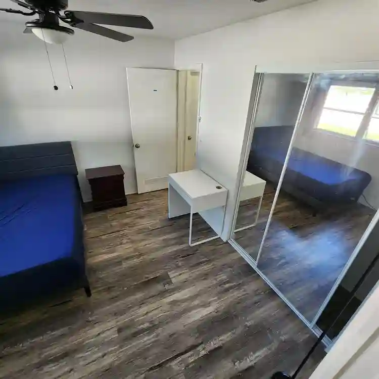 3 BR in Tampa