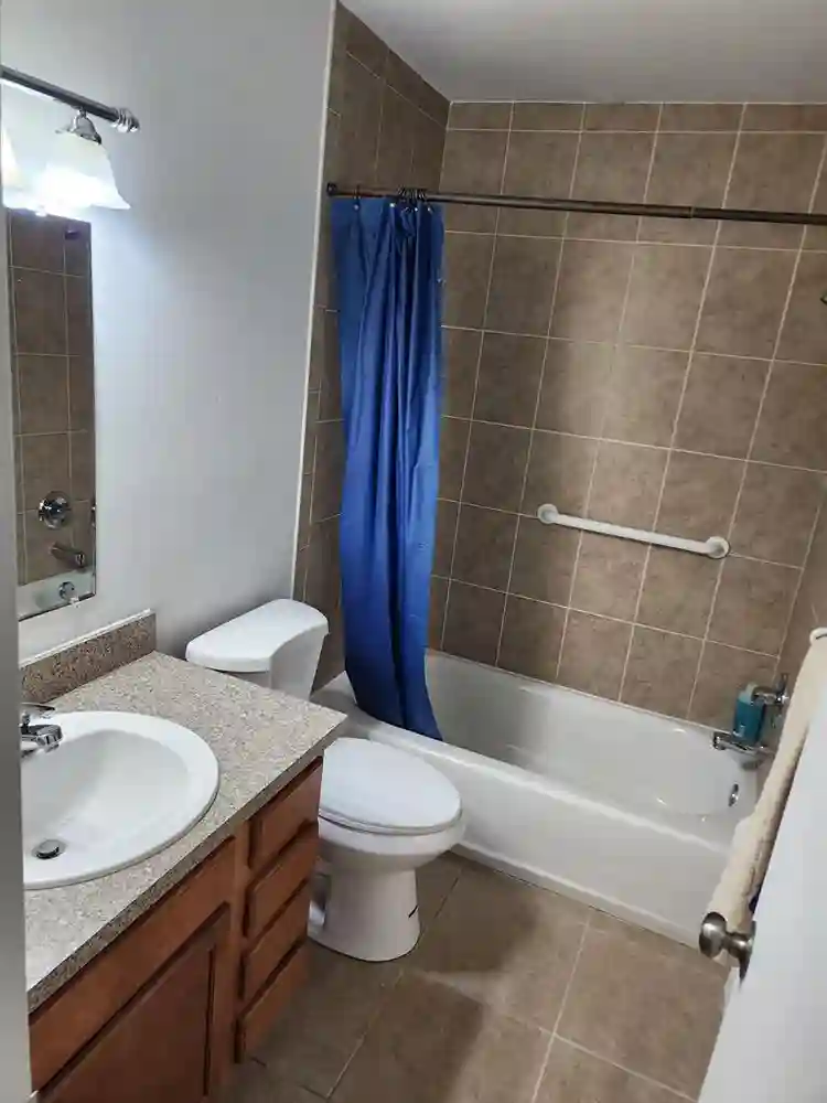 3 BR in Tampa