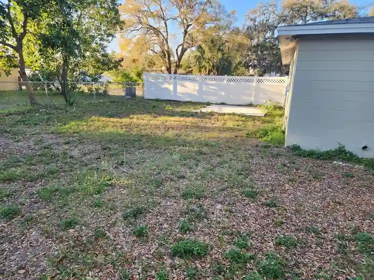 3 BR in Tampa
