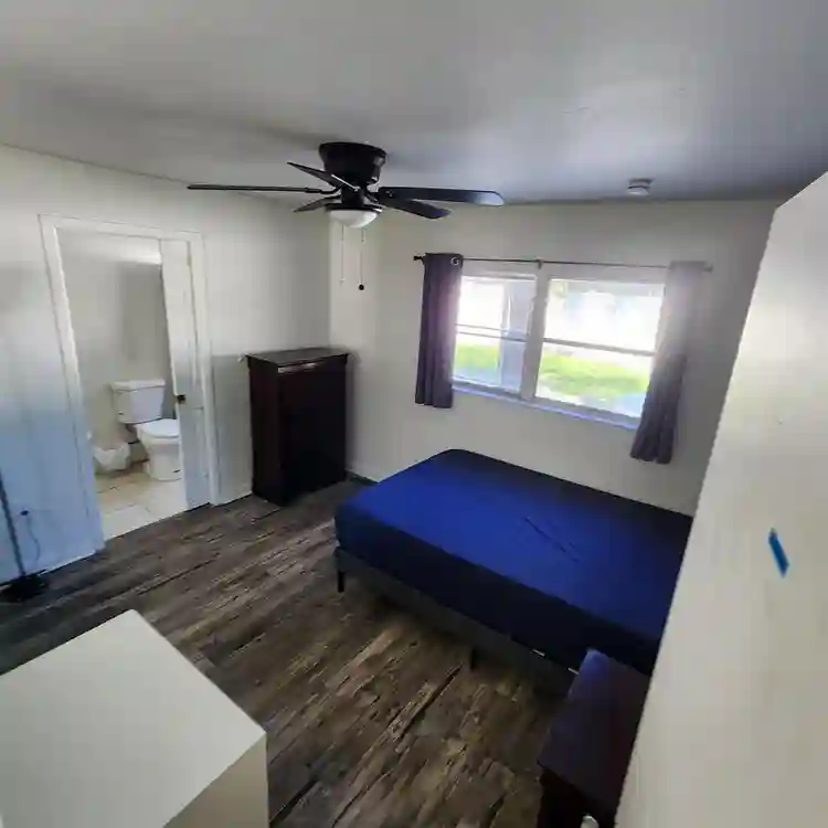 3 BR in Tampa