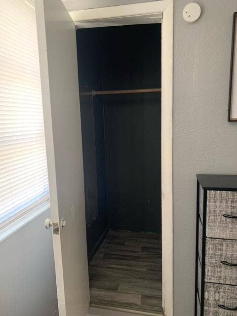 6 BR in Temple Terrace