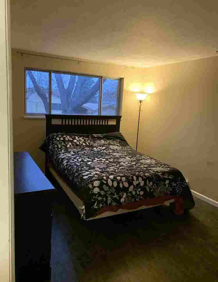 Looking for roommate