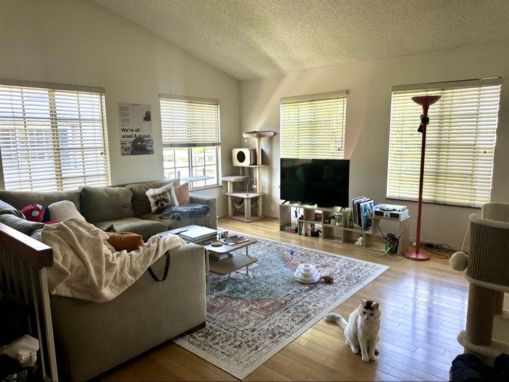 Irvine: Roommate Needed