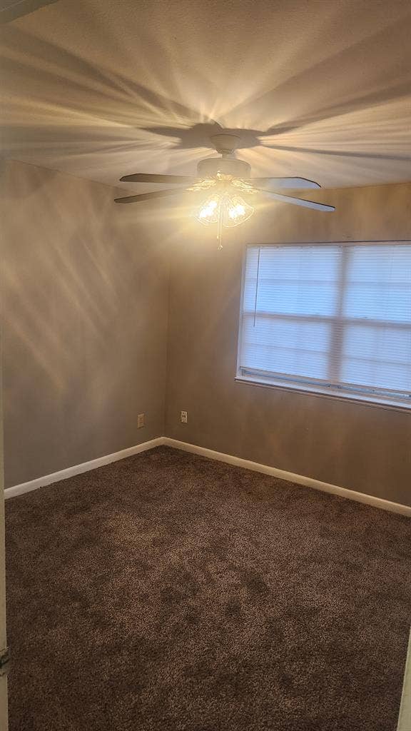 Looking for Roommate