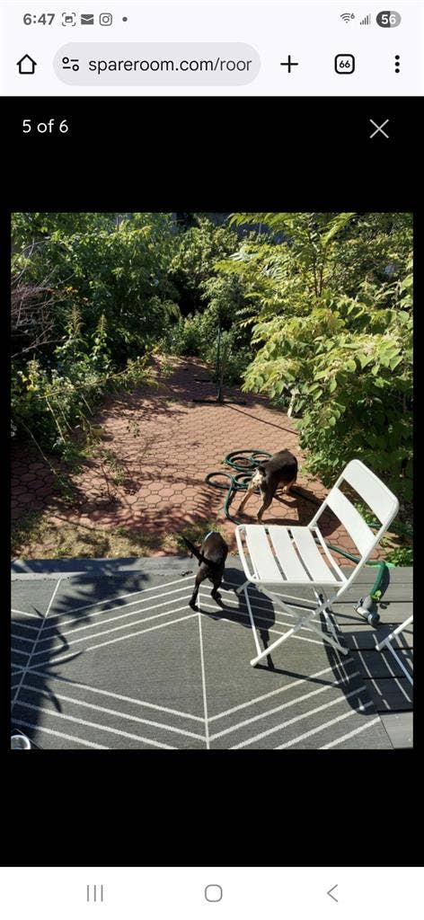 Large sunny roomin private house BK