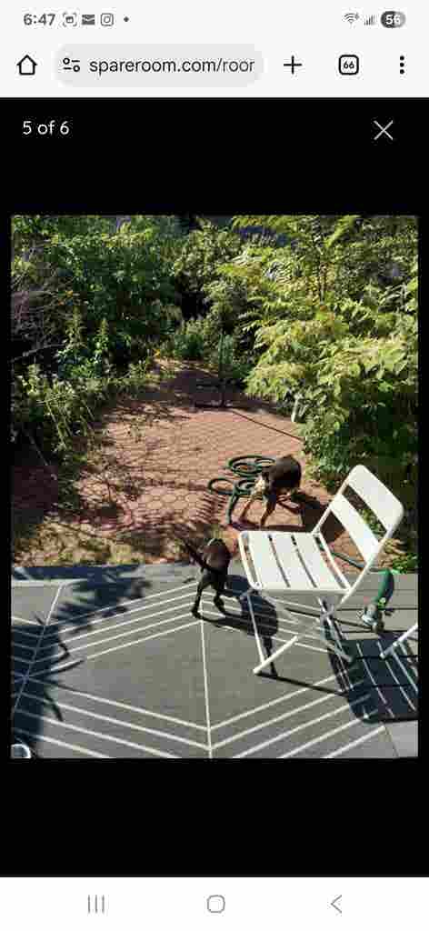 Large sunny roomin private house BK