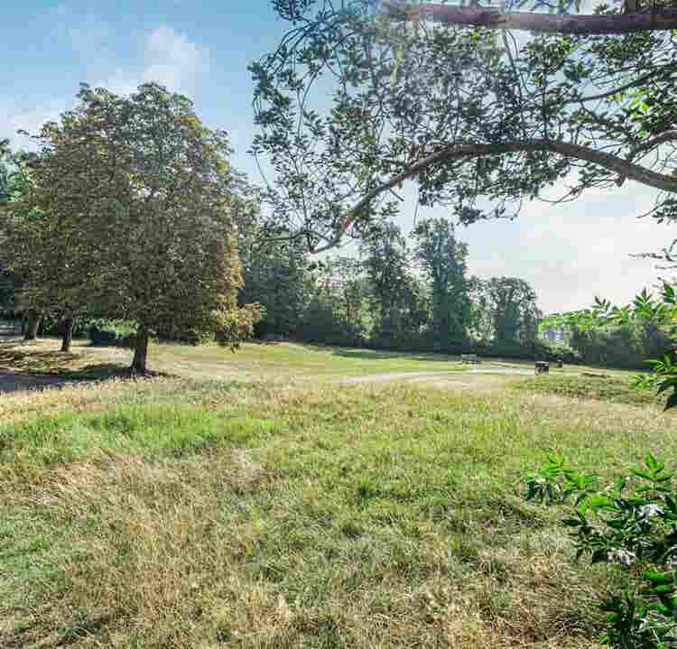 Nicely furnished room Muswell Hill