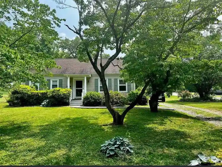 Female roomate wanted in SoKnox!