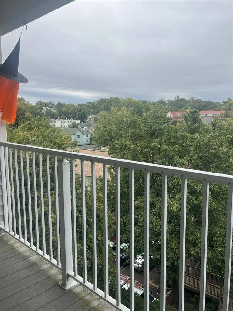 Spring ‘ UVA Sublet!