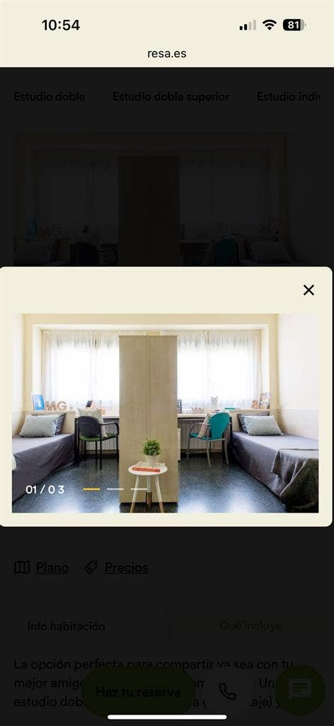 Looking for a roommate