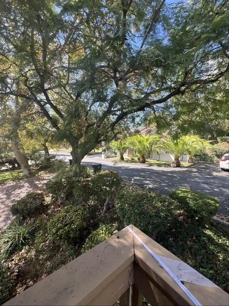 Seeking roommate in Fullerton house