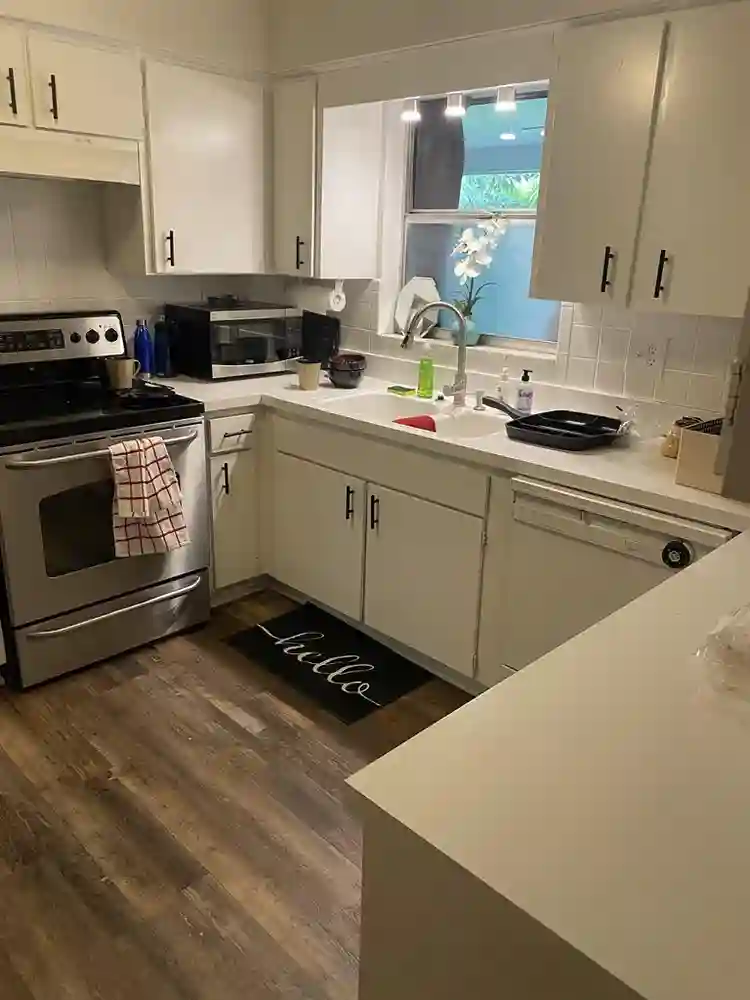 5 BR in Tampa