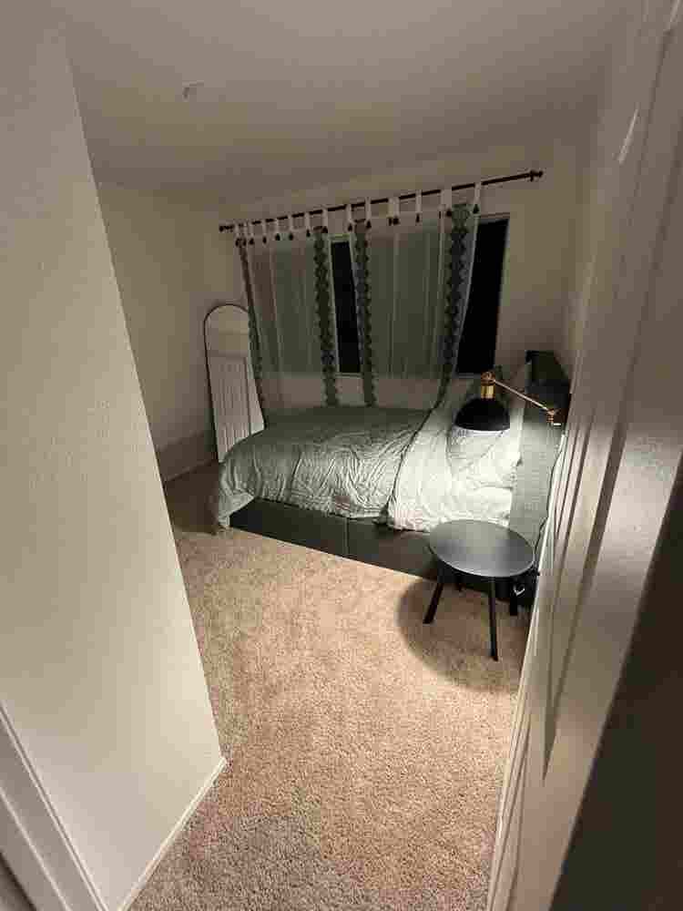 Looking for Female Roomates