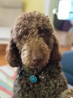 New! Near Highland Park & UR