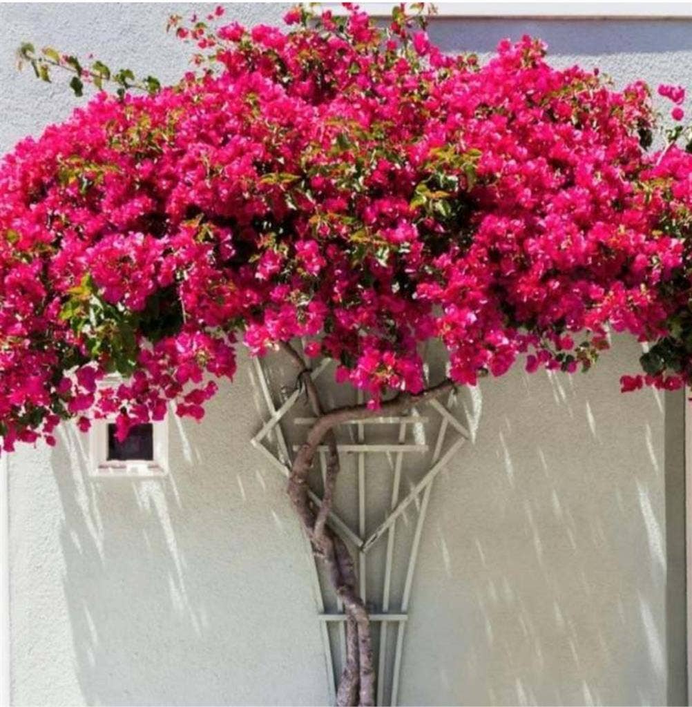 Quiet Room 4 rent with Pool/Garden