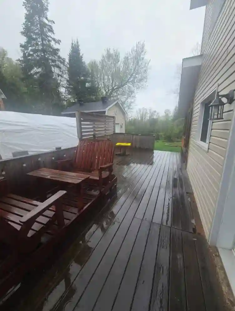 Colocataire recherché