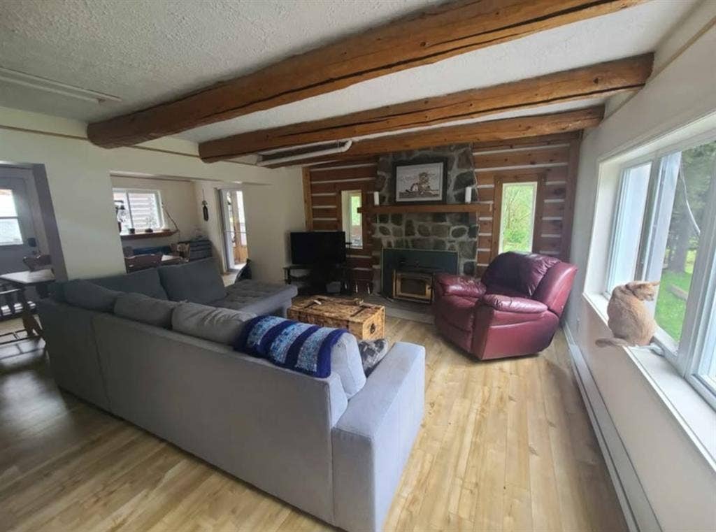 Colocataire recherché