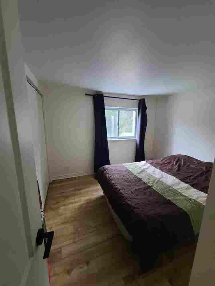 Colocataire recherché