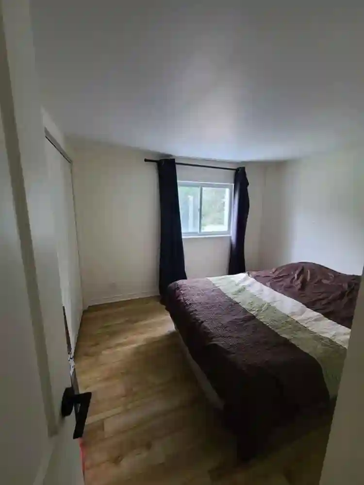 Colocataire recherché