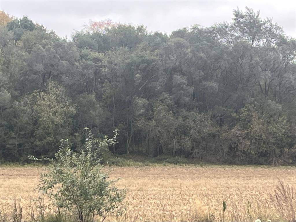 “ Seeking Female Roommate- RentFree