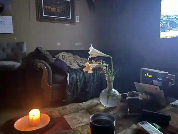 “ Seeking Female Roommate- RentFree