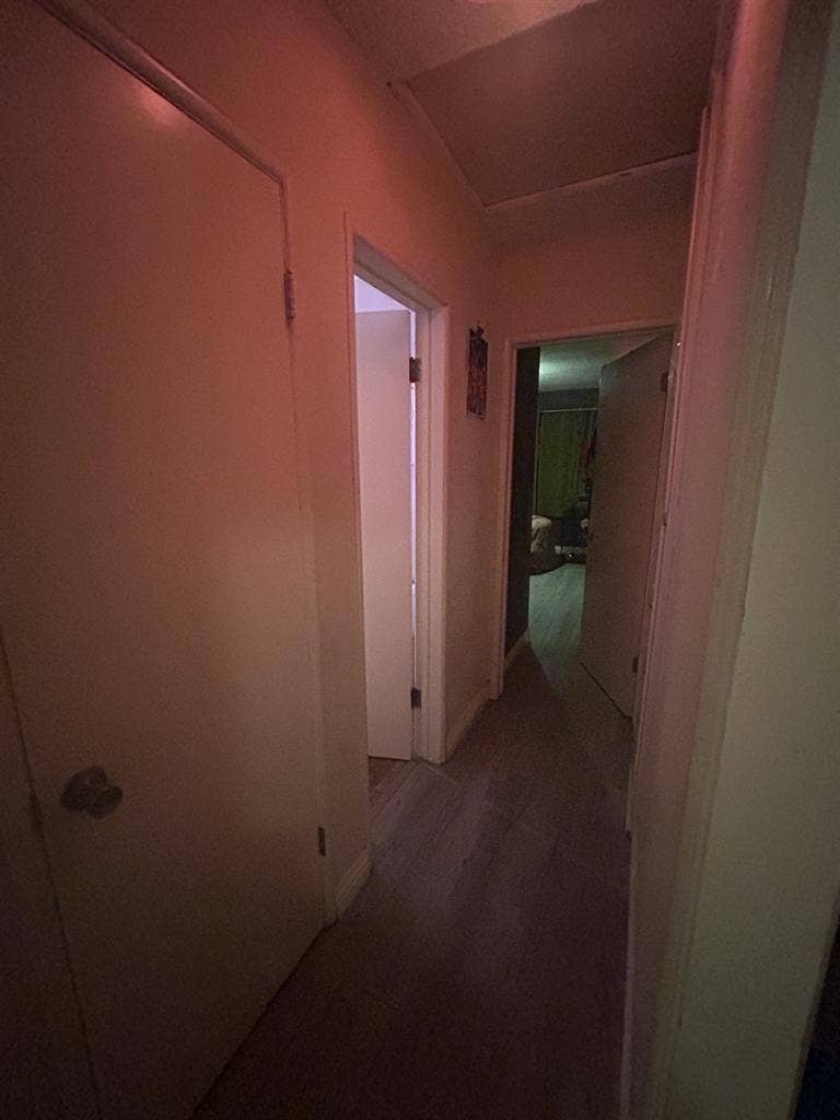 Seeking girl roommate