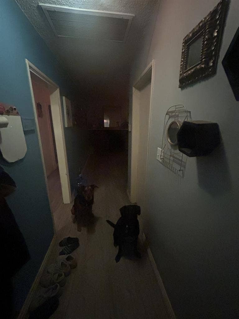 Seeking girl roommate