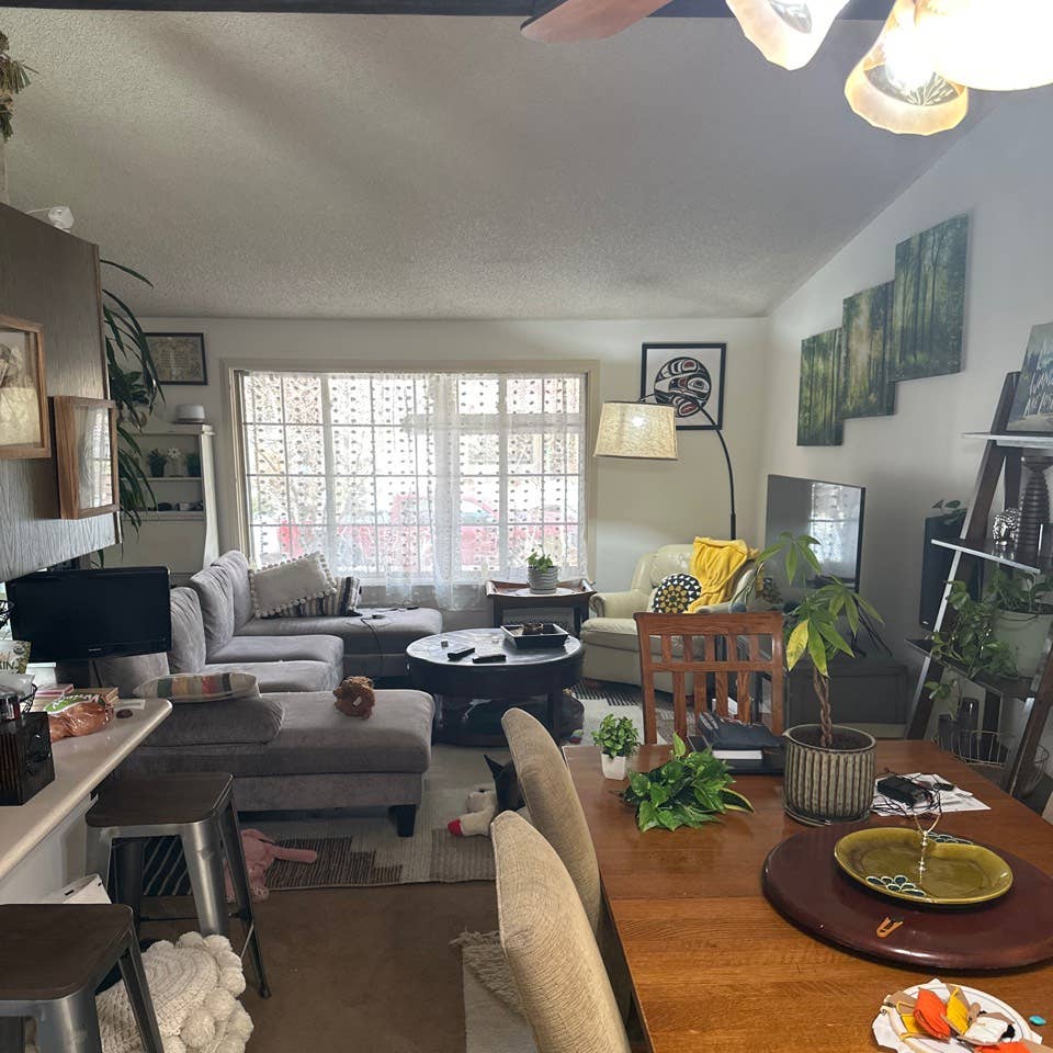 Looking for a roommate.