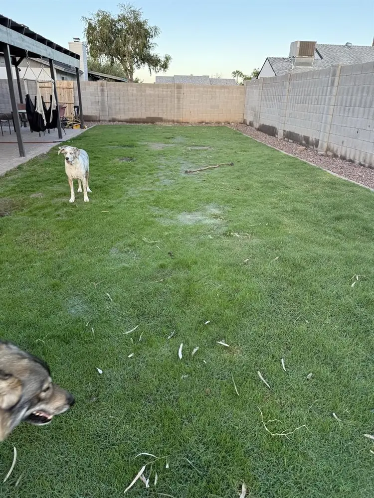 LOOKING FOR: Female Housemates