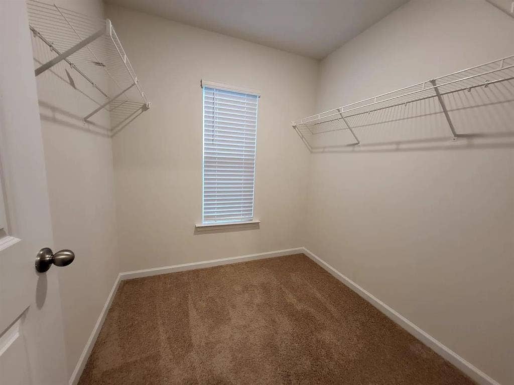 3 BR in Charlotte