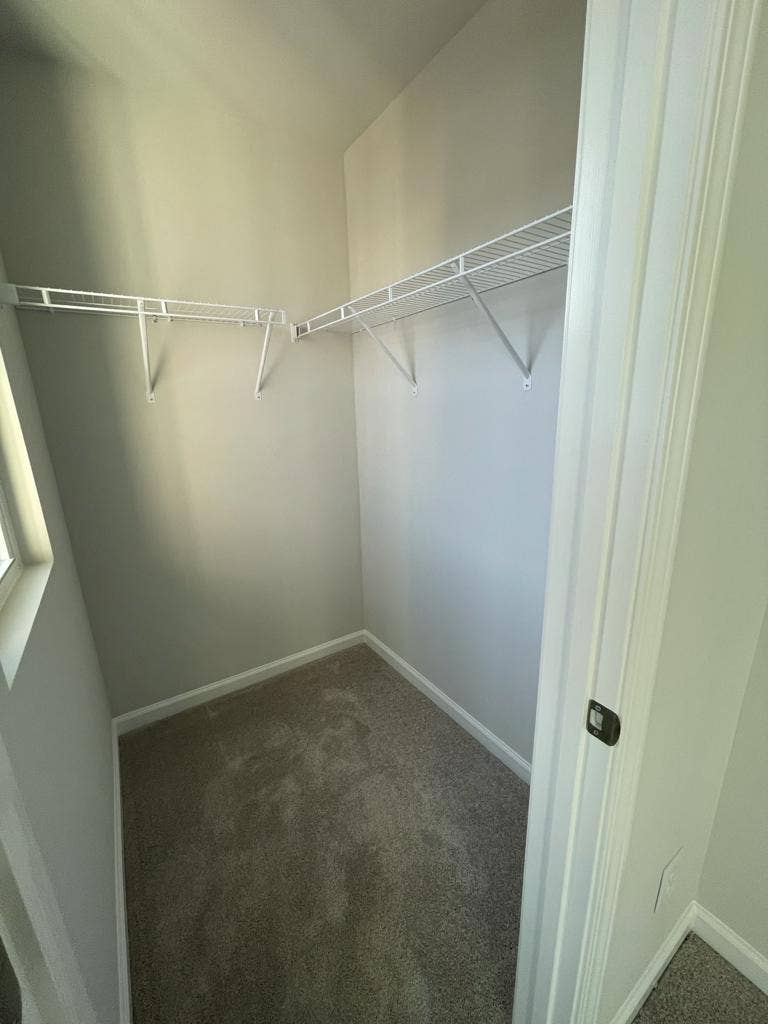 3 BR in Raleigh