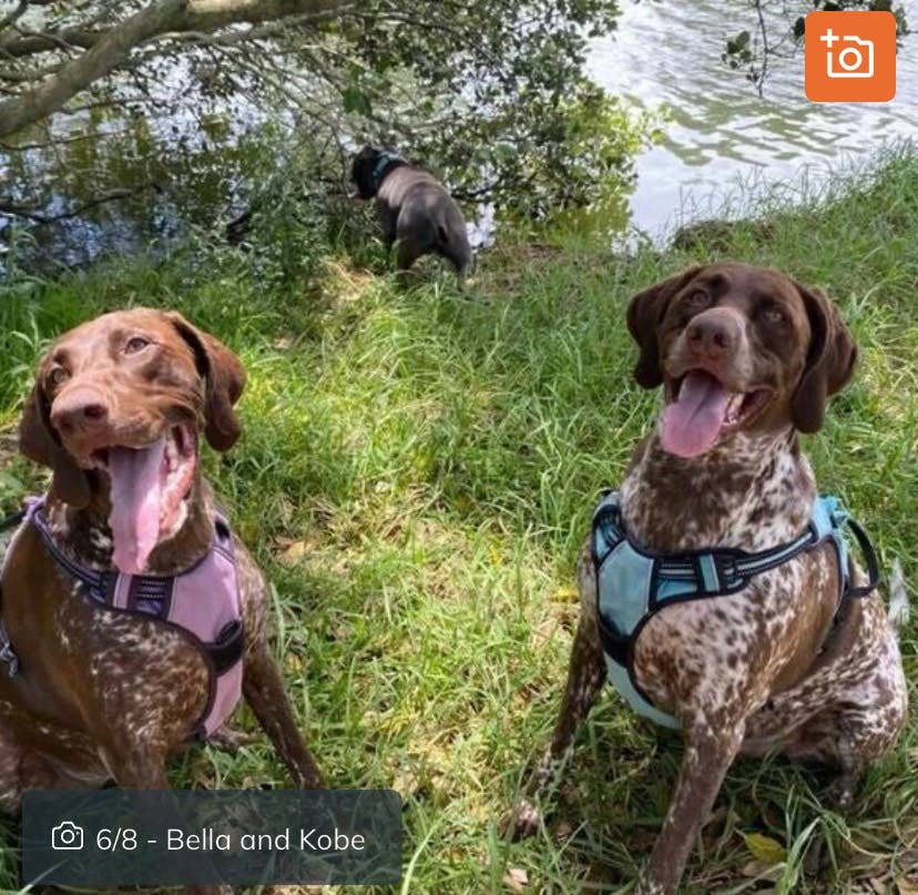 Private room and own living room