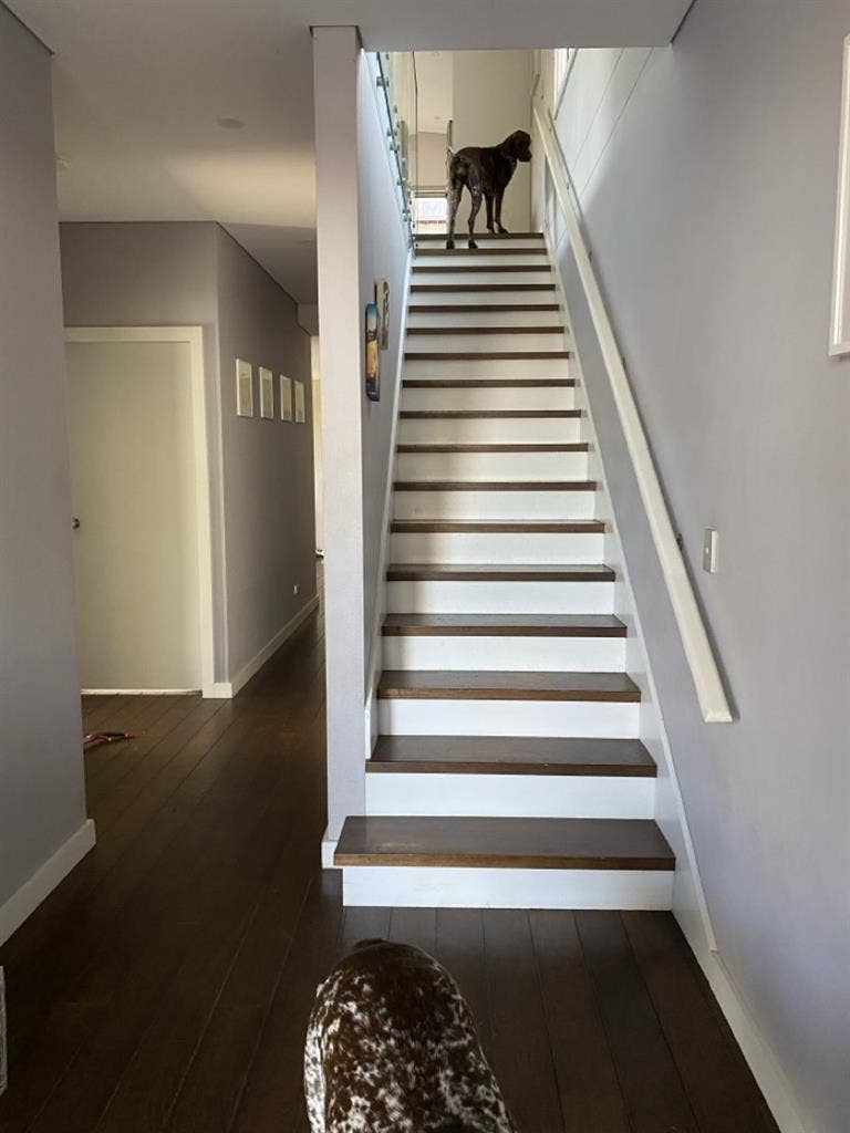 Private room and own living room