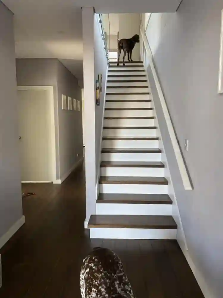 Private room and own living room