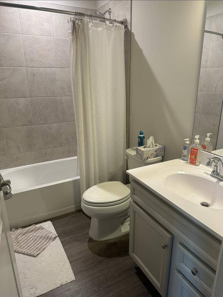 Room with shared bathroom available