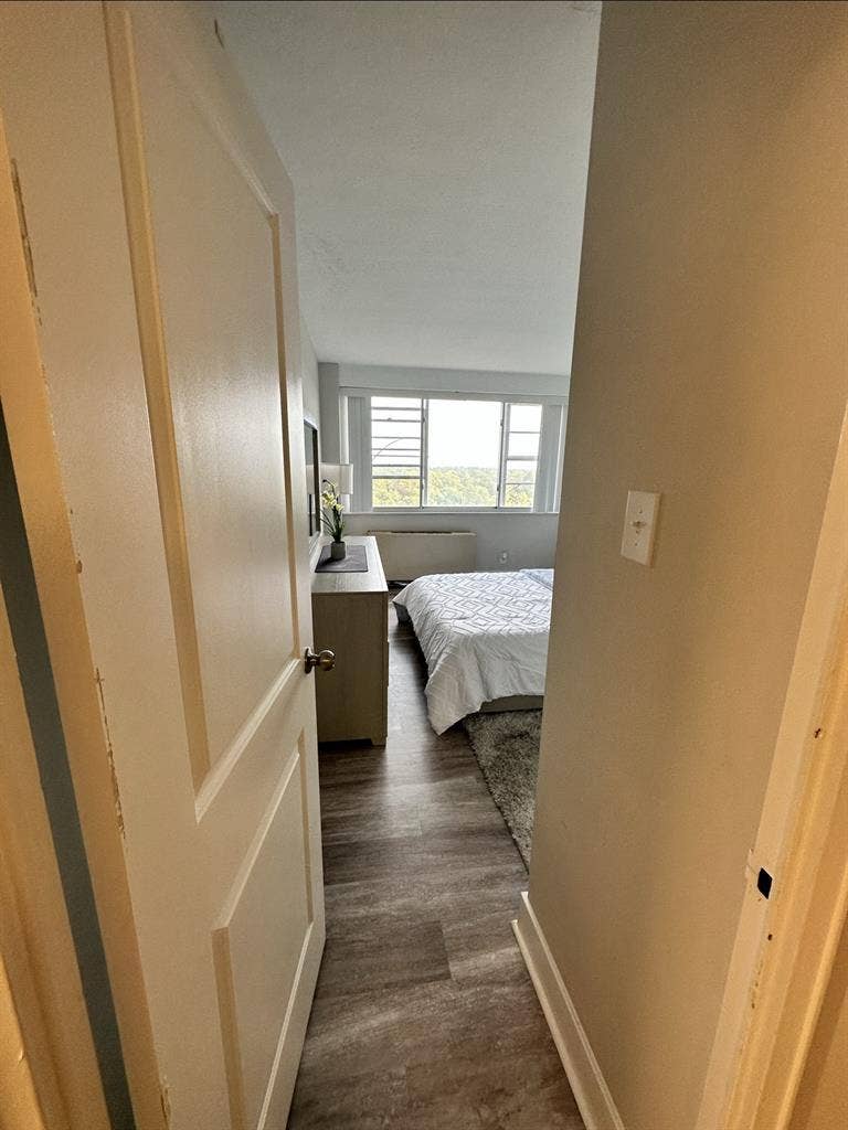 Room for Rent  in Chestnut Hill