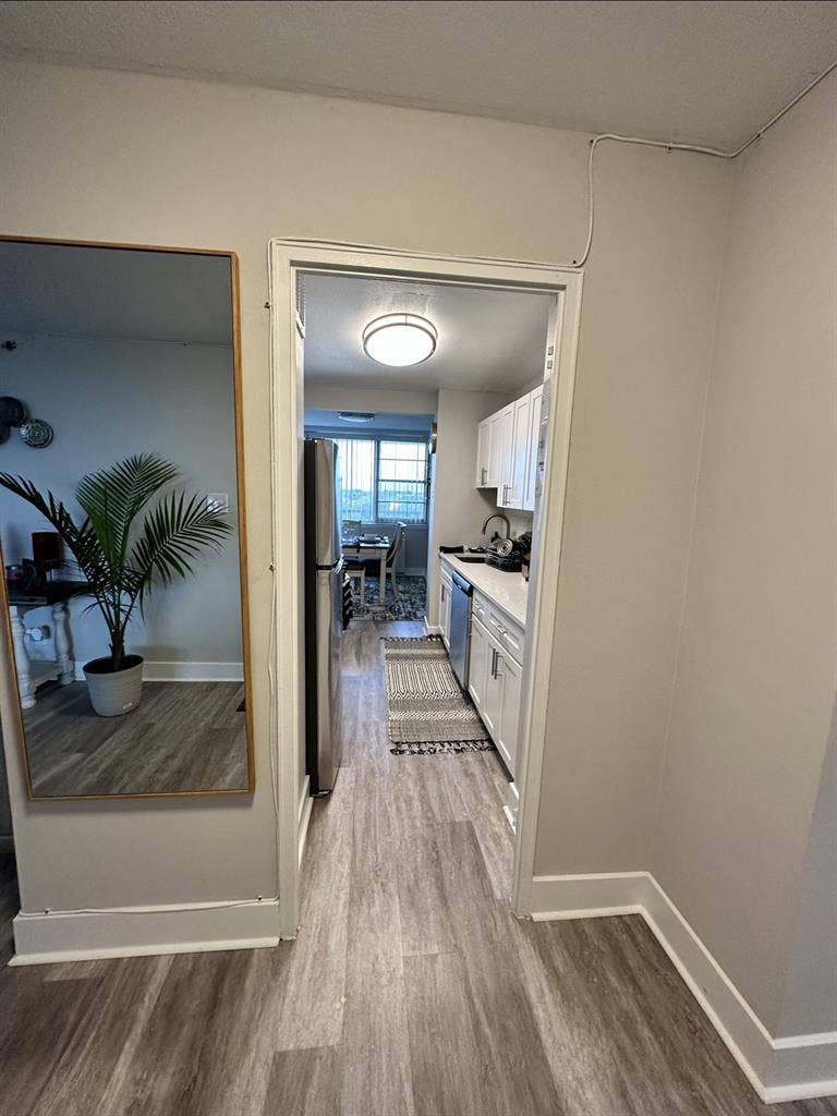 Room for Rent  in Chestnut Hill