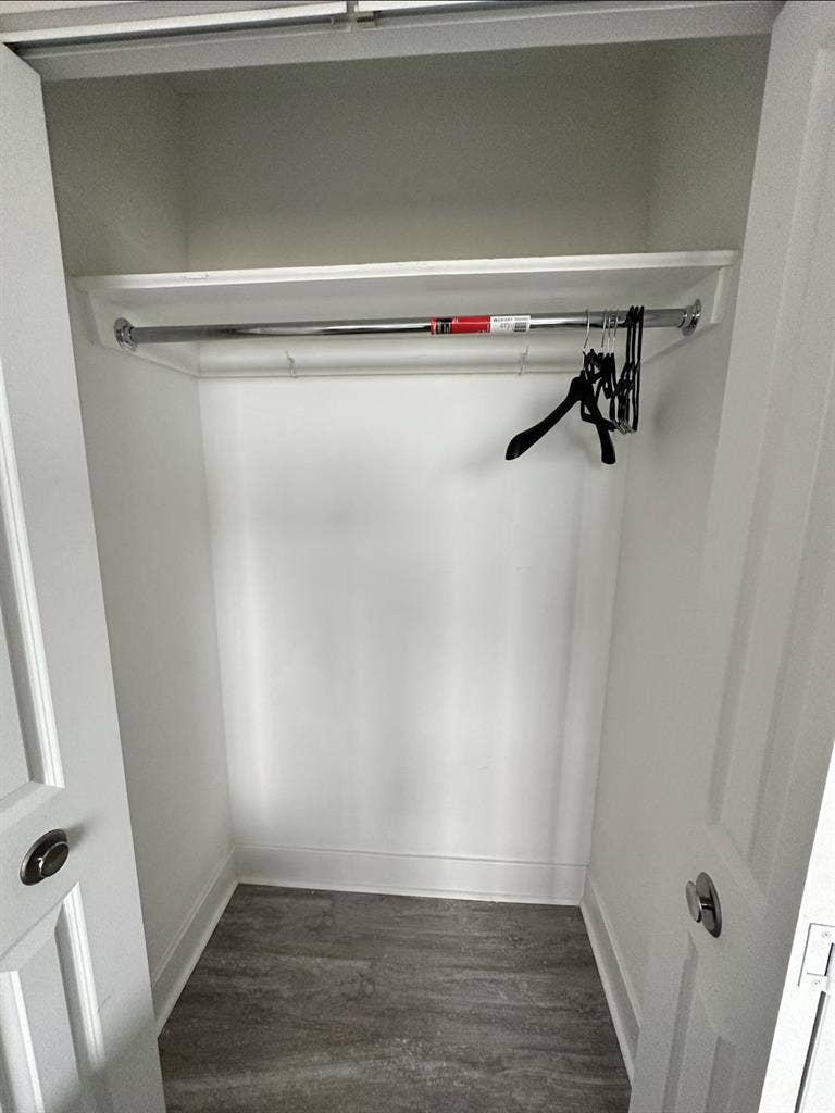 Room for Rent  in Chestnut Hill