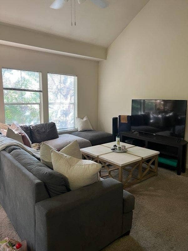 Looking for  roommates