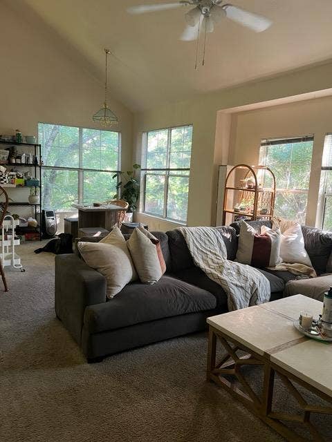 Looking for  roommates