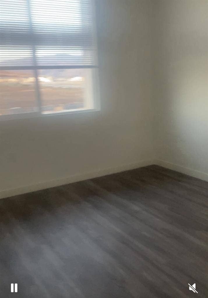 Easygoing, clean, reliable 😊