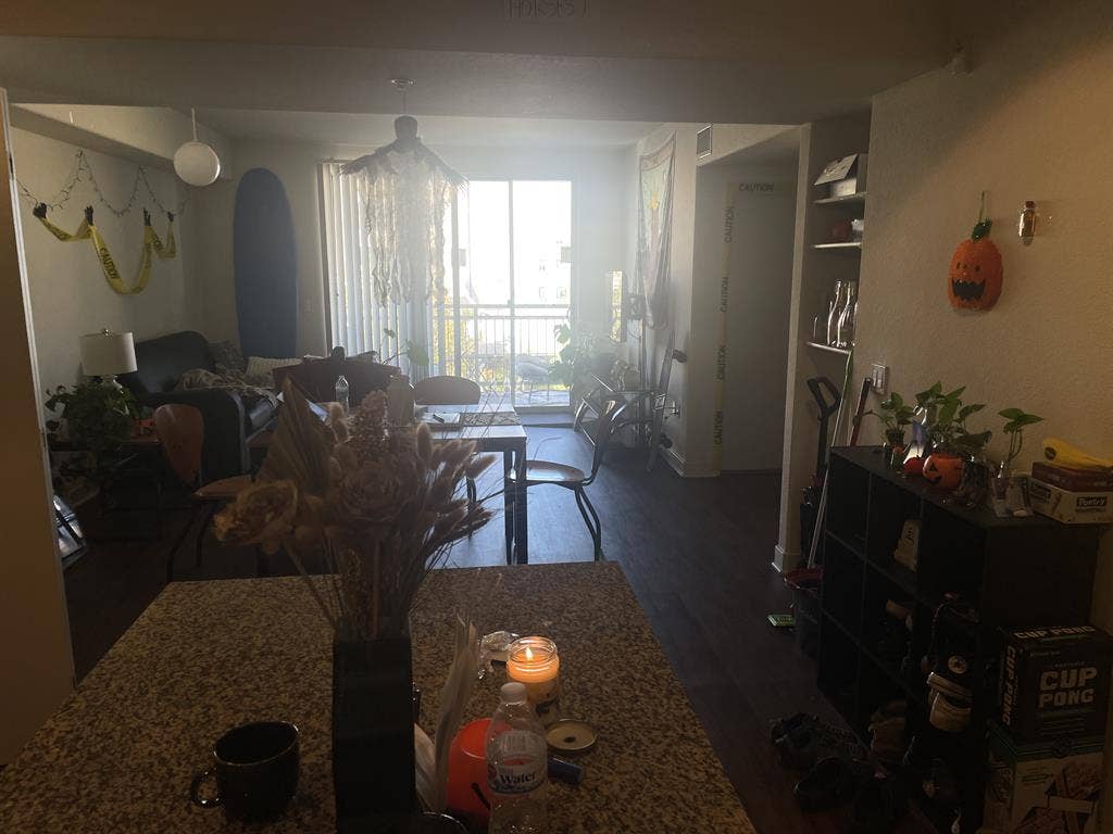 SpringSubLease(for Female)-give DM!